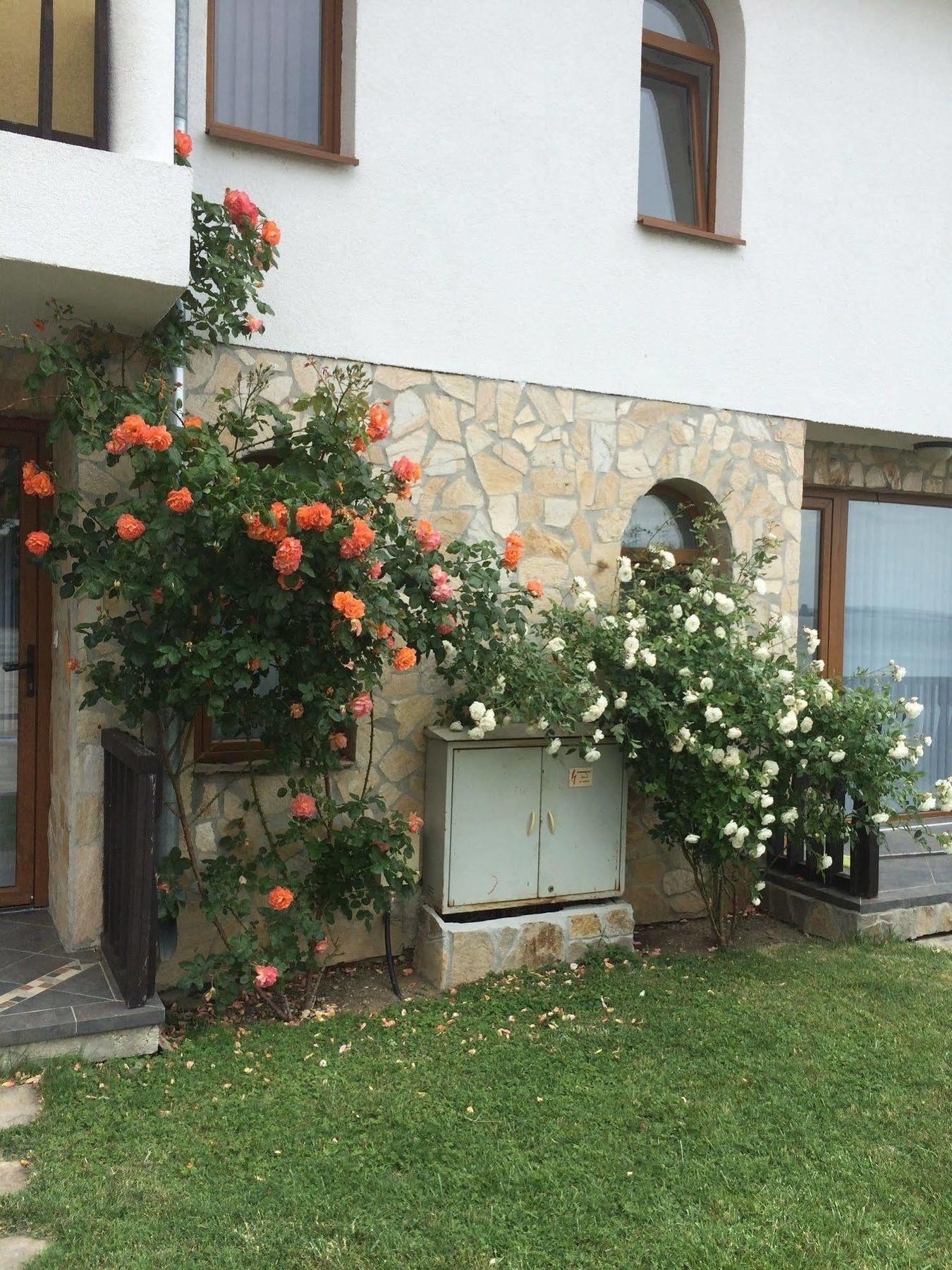 סבטי ולאס Tsb Sun Coast Apartments מראה חיצוני תמונה